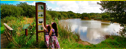 Camping and Touring near Perranporth
