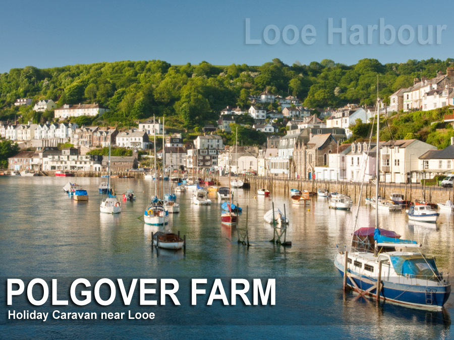 Looe Holiday caravan