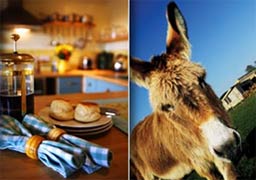 Rosland Peninsula Self-catering