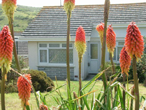 Pollymoor Holidays - Self Catering 