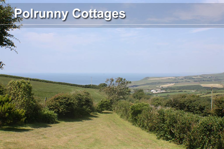 Boscastle Holiday cottages