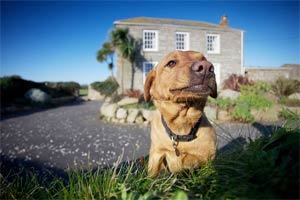 Bed & Breakfast Holiday Accommodation  in Porthcurno