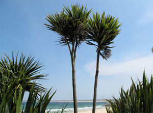 Bed and Breakfast Accommodation in St Ives - Cornwall