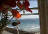 Quayside Holidays
