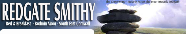 Bed and Breakfast St Cleer, Liskeard - Redgate Smithy - Holiday lodgings