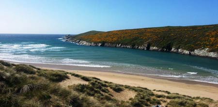 Courtesy of Parkdean Crantock Bay