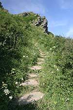 Coastal path between Gorran Haven and Vault Beach