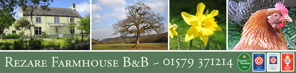 Bed and Breakfast at Rezare Farmhouse