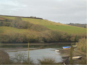 1 River View in Coombe