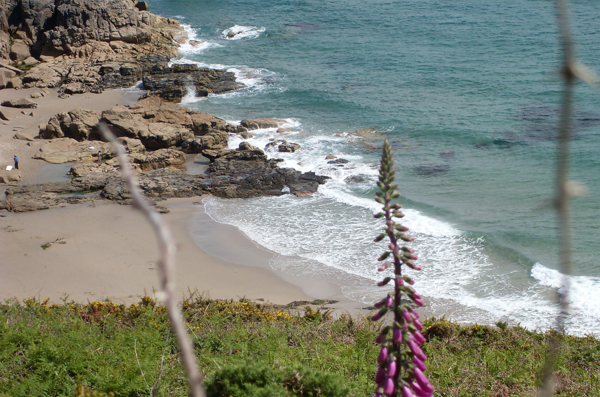 Helston Holiday Cottage - Robin Cottage Helston Lizard Peninsula