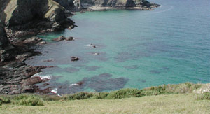 Self catering in Port Isaac, Port Quin. Roscarrock