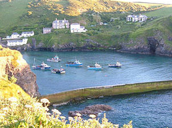 Rosebud Farm Touring Park - St Teath