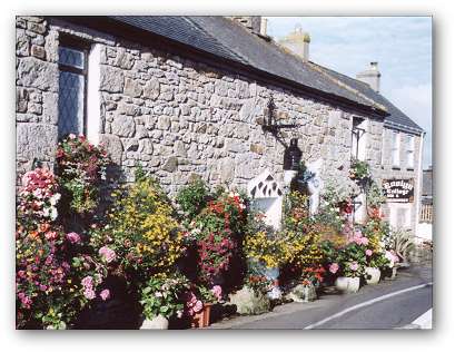 *Roslyn Cottage Bed and Breakfast Accommodation in Helston