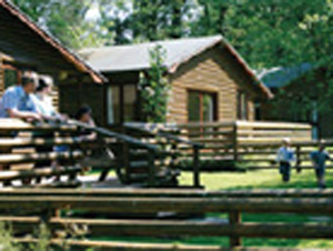 Ruthern Valley Holidays - Self Catering + Camping + Caravans + Tourers + Glamping 