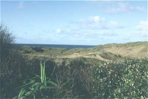 Sailors Cove - Porth Raylen
