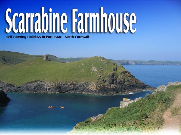 self catering near Port Isaac