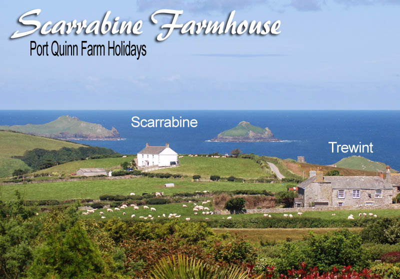 self catering near Port Isaac