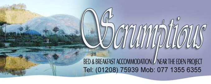 Bed and breakfast near The Eden Project-  Cornwall
