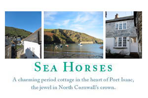 Sea Horses    - Self catering in Port Isaac
