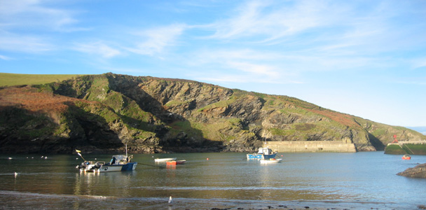 Holiday Cottage - Port Isaac - North Cornwall