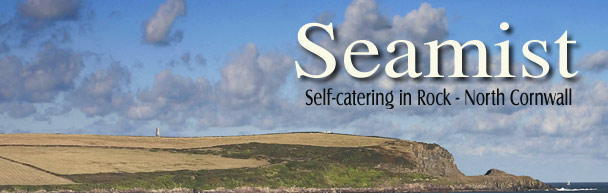 The Camel Estuary