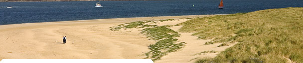 The Camel Estuary