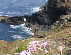 Seaview International - Self-catering, touring and camping