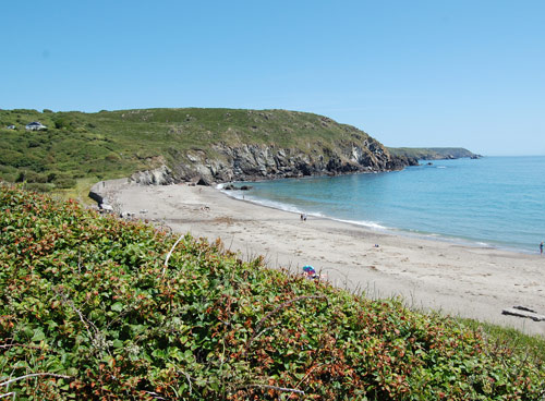 Kennack Sands East Dog Beech  - Sea view Holiday caravans