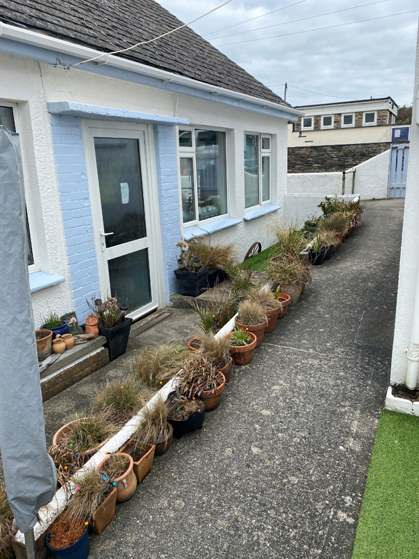 Seaweed Holiday Cottage New Polzeath