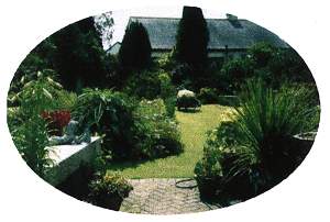 The garden at Shasta Annex