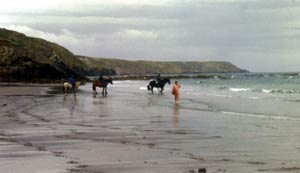 Caravan and Camping holidays on the Lizard Peninsula