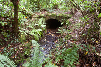 Ancient Driveway Bridge