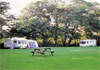 Skyburriowe Camping