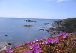 Bed & Breakfast Accommodation - Mullion - Cornwall