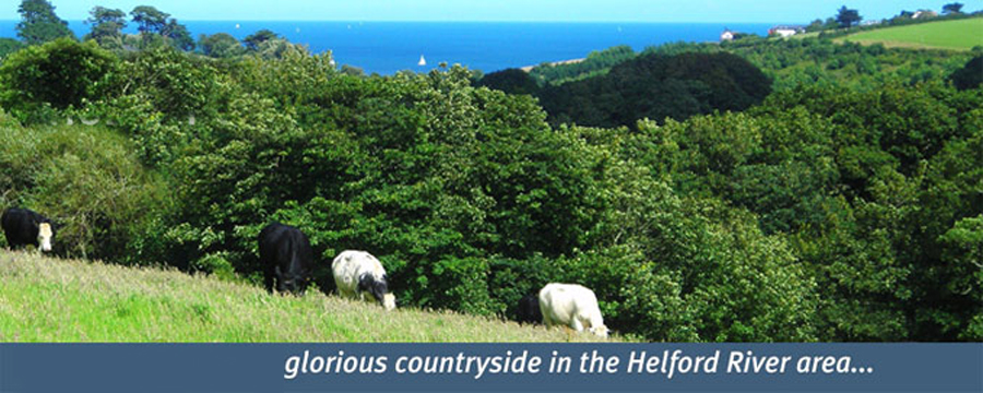 Holidays in Falmouth and the Helford