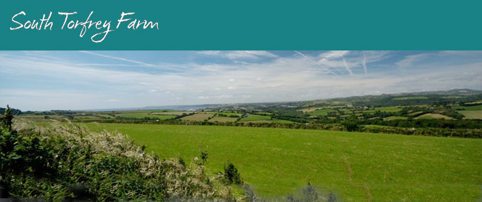 South Torfrey Farm Fowey  5 Self-catering Cottages