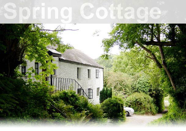 Bed and Breakfast Probus- Spring Cottage