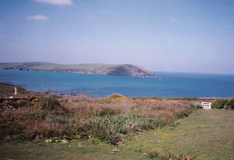 View from Springs - showing the garden