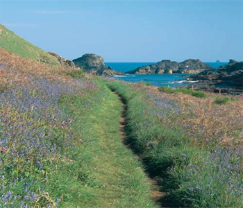 Camel Trail Bed & Breakfast in North Cornwall 