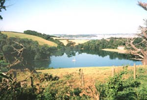 The Roseland Peninsula