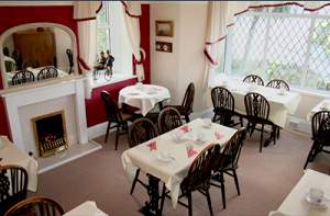 B&B in Newquay