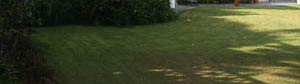 Self catering Holidays in New Polzeath - Stepper Head