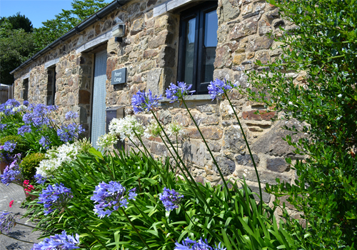 Pottery Cottage     St Kew     Self catering 