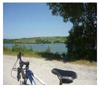 Camel Trail