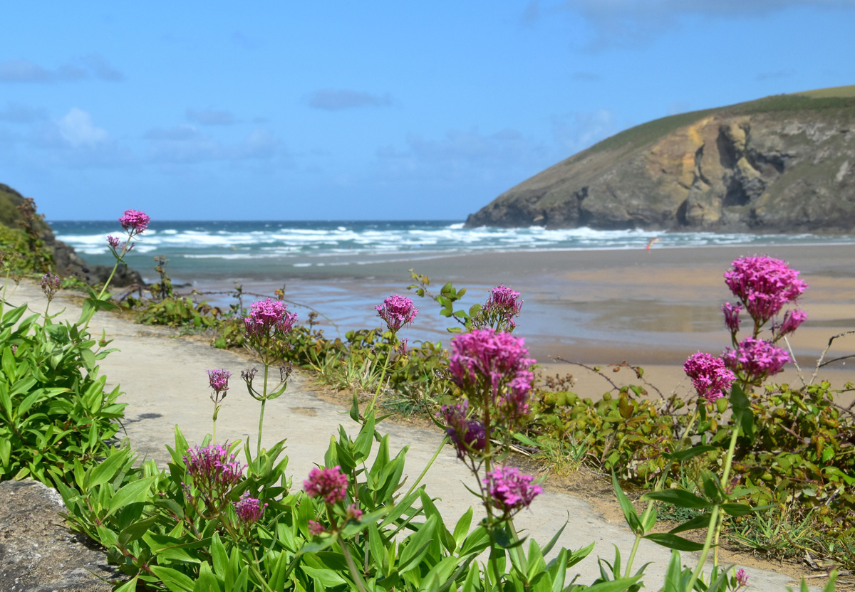 Mawgan Porth Sun Haven  Valley Holiday  