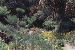 Trebah Gardens