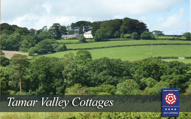 Holiday Cottages in Bude - Tamar valley