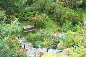 Tao Cottage - Self Catering Accommodation in  Boscastle