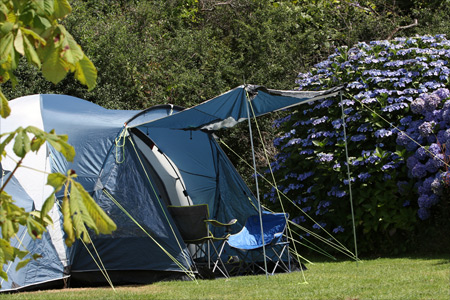 Tehidy - Holiday Park camping pitches