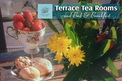 *B&B stays in Port Isaac Terrace Tea Rooms and Bed & Breakfast in  Port Isaac